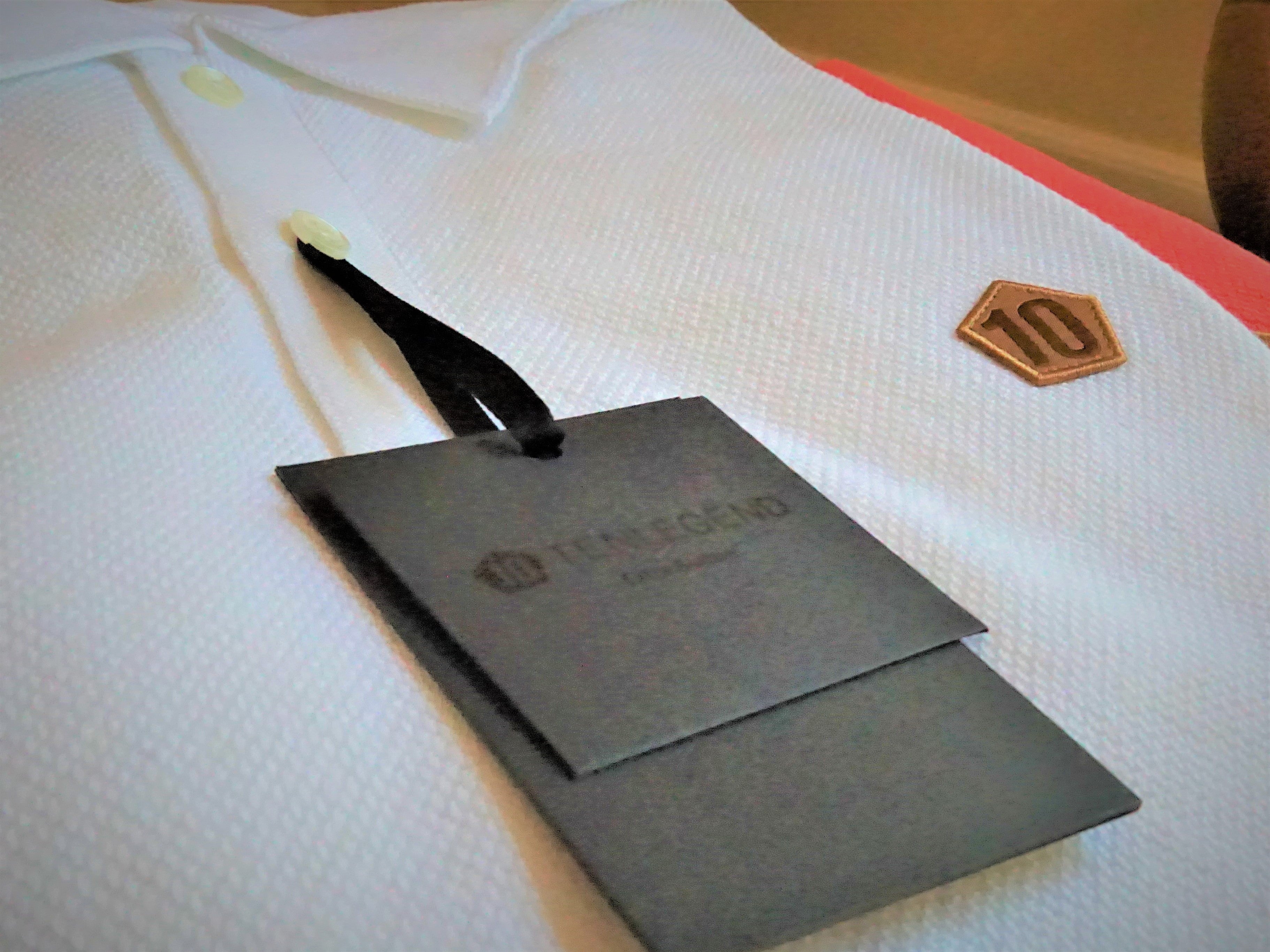 The Maestro - TENLEGEND